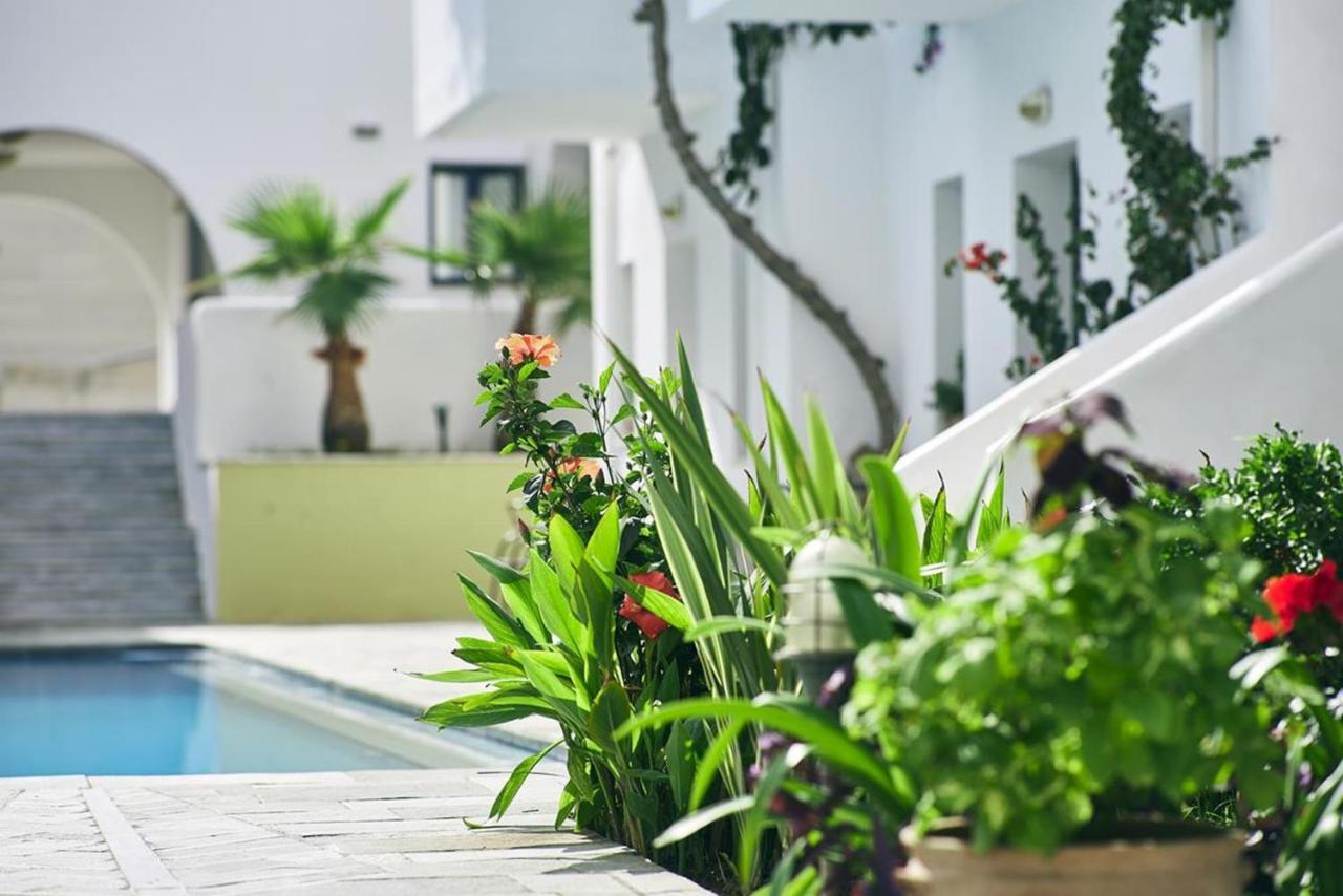 Eva Suites & Apartments Agia Marina  ภายนอก รูปภาพ
